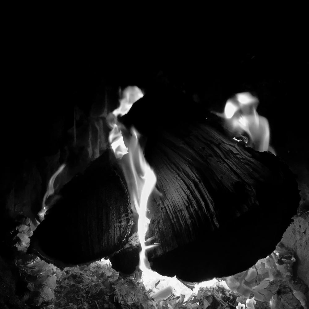 Choosing the Right Campfire Logs Maine for Your Needs