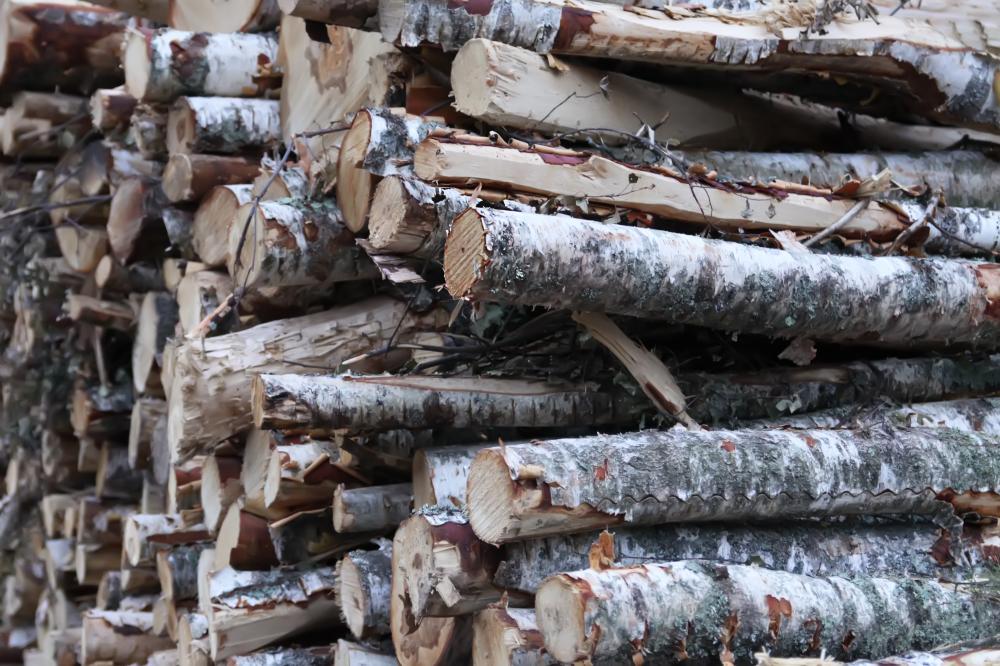 Benefits of Using Compressed Firewood Maine
