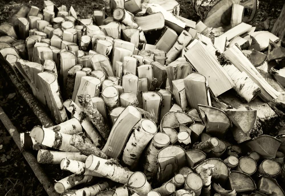 Why Maine is Ideal for Firewood