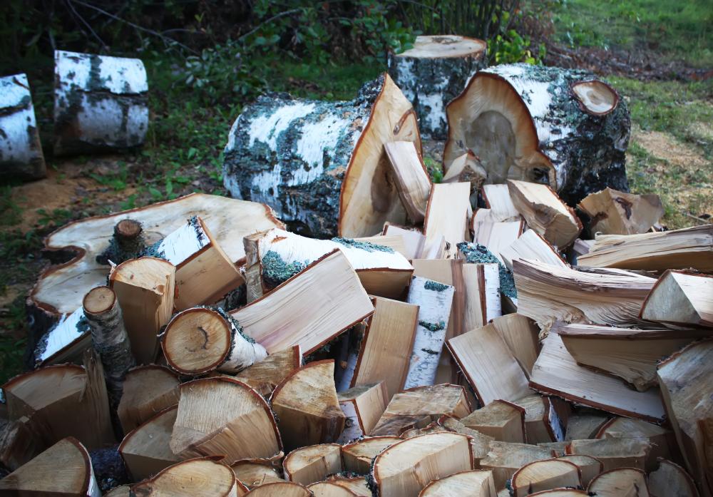 What Are the Most Common Firewood Questions?