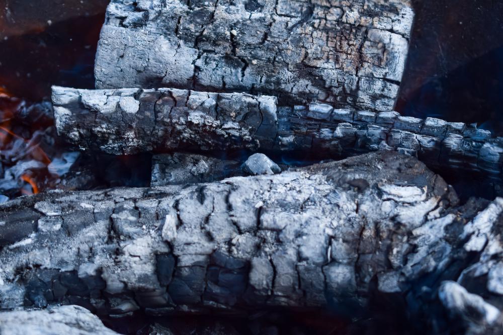 Can Long Burning Logs Be Used in Camping?