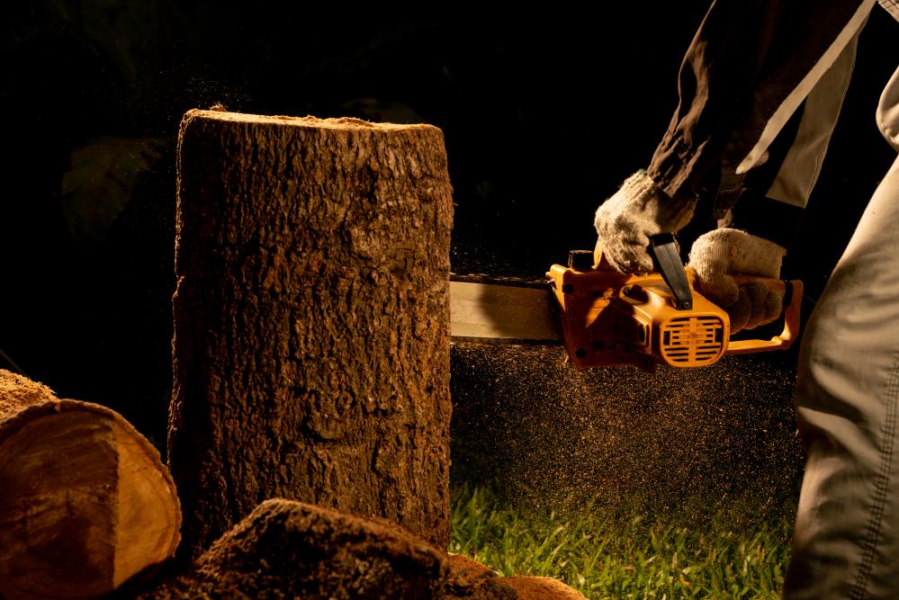 What Makes Tree Service Essential?