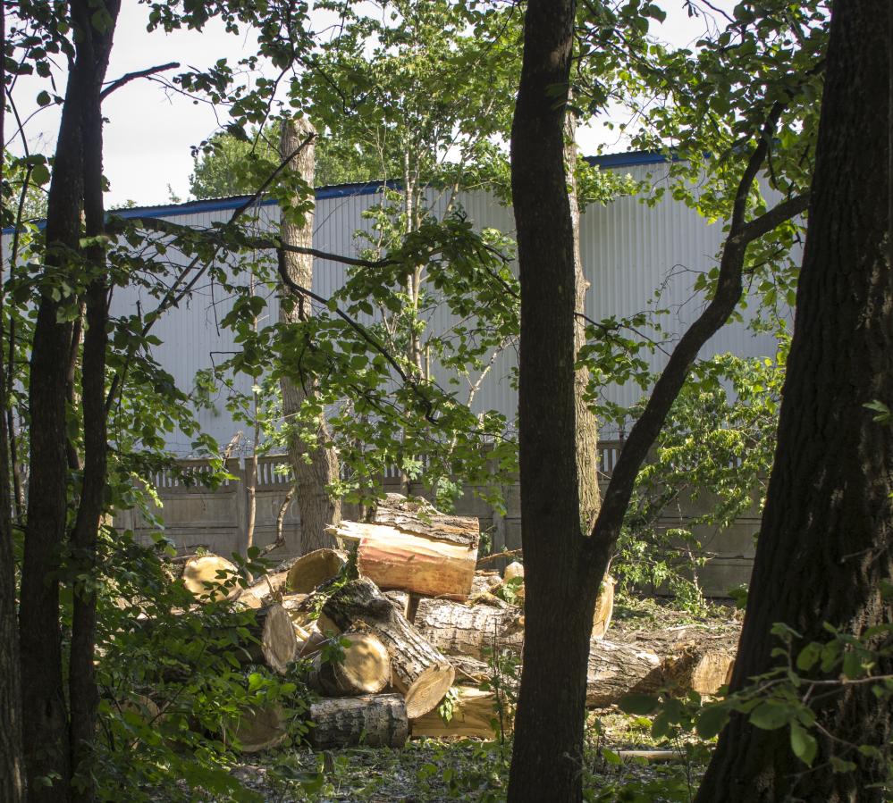 Why Choose Tree Care Pittsburgh?