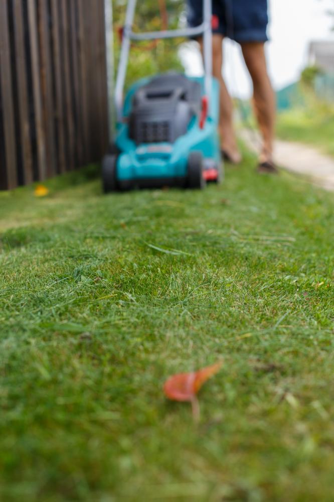 Innovative Approaches to Lawn Mowing Abbotsford