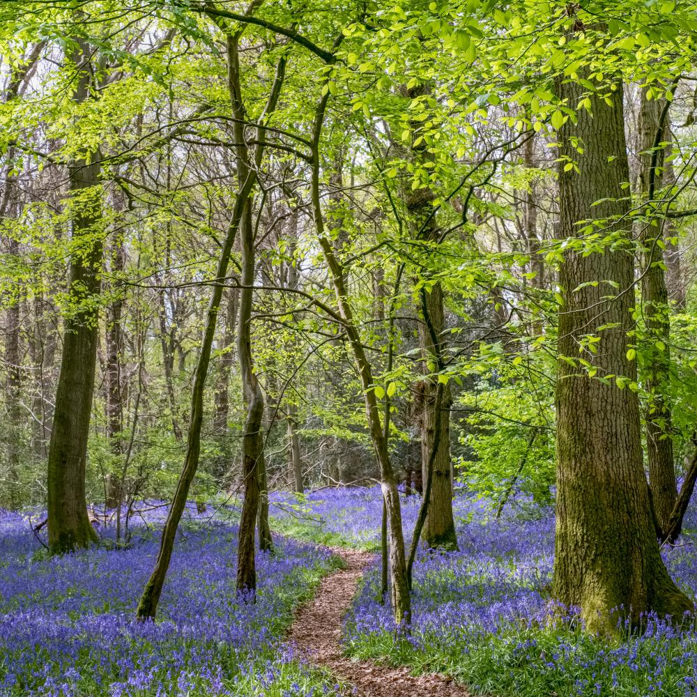 Comprehensive Services for Every Need