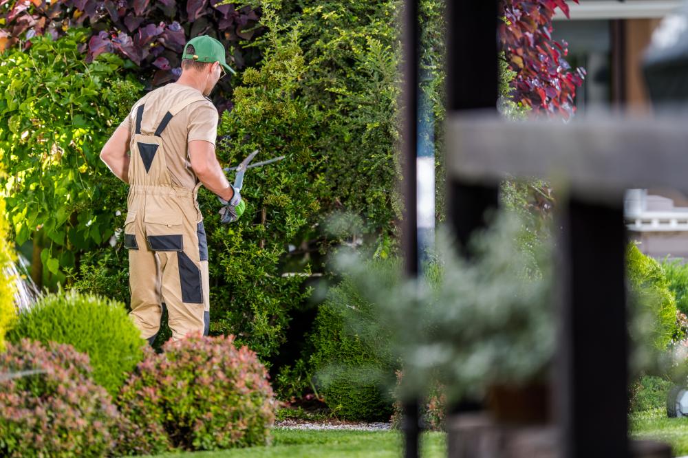 Comprehensive Landscape Maintenance Services