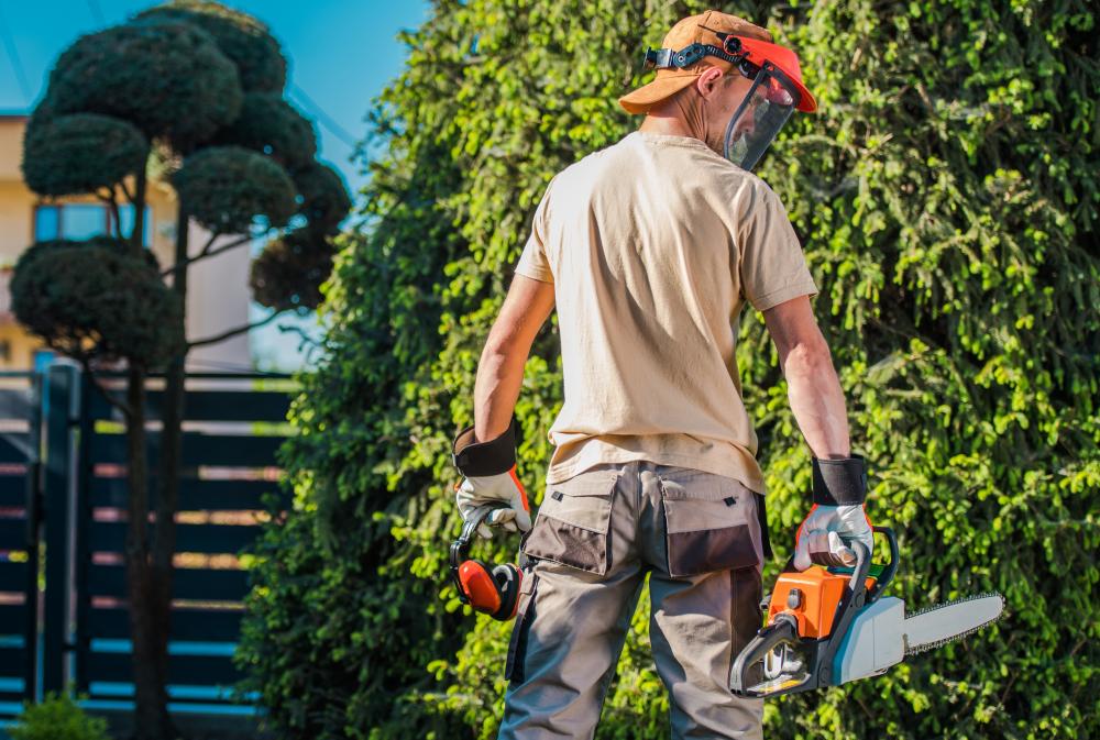 Sharing Personal Experiences in Tree Care