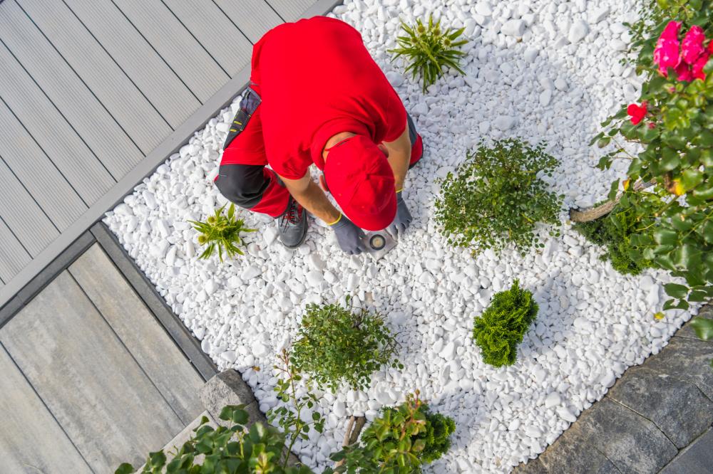 Comprehensive Services for Landscaping Debary Needs