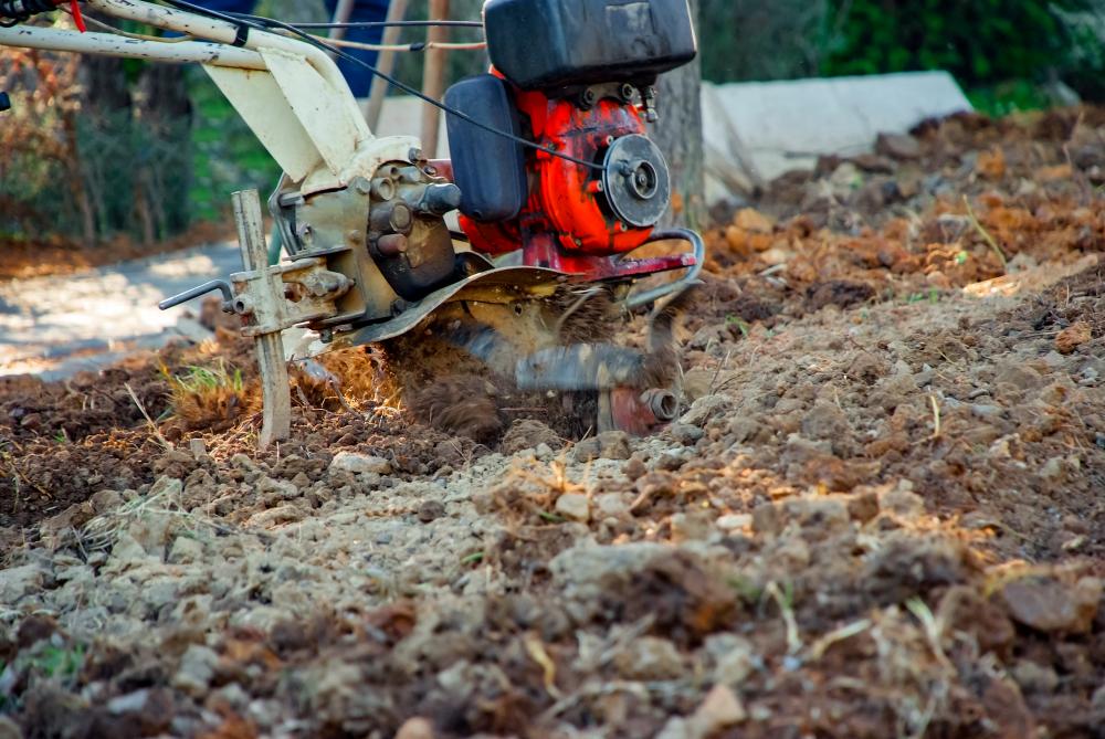 The Importance of Professional Land Clearing