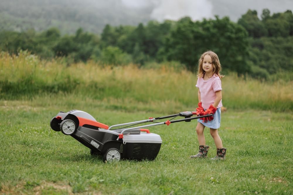 Integrating Push Reel Mowers into Your Lawn Care Routine