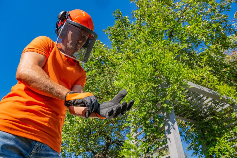 How to Handle Tree Service Emergencies