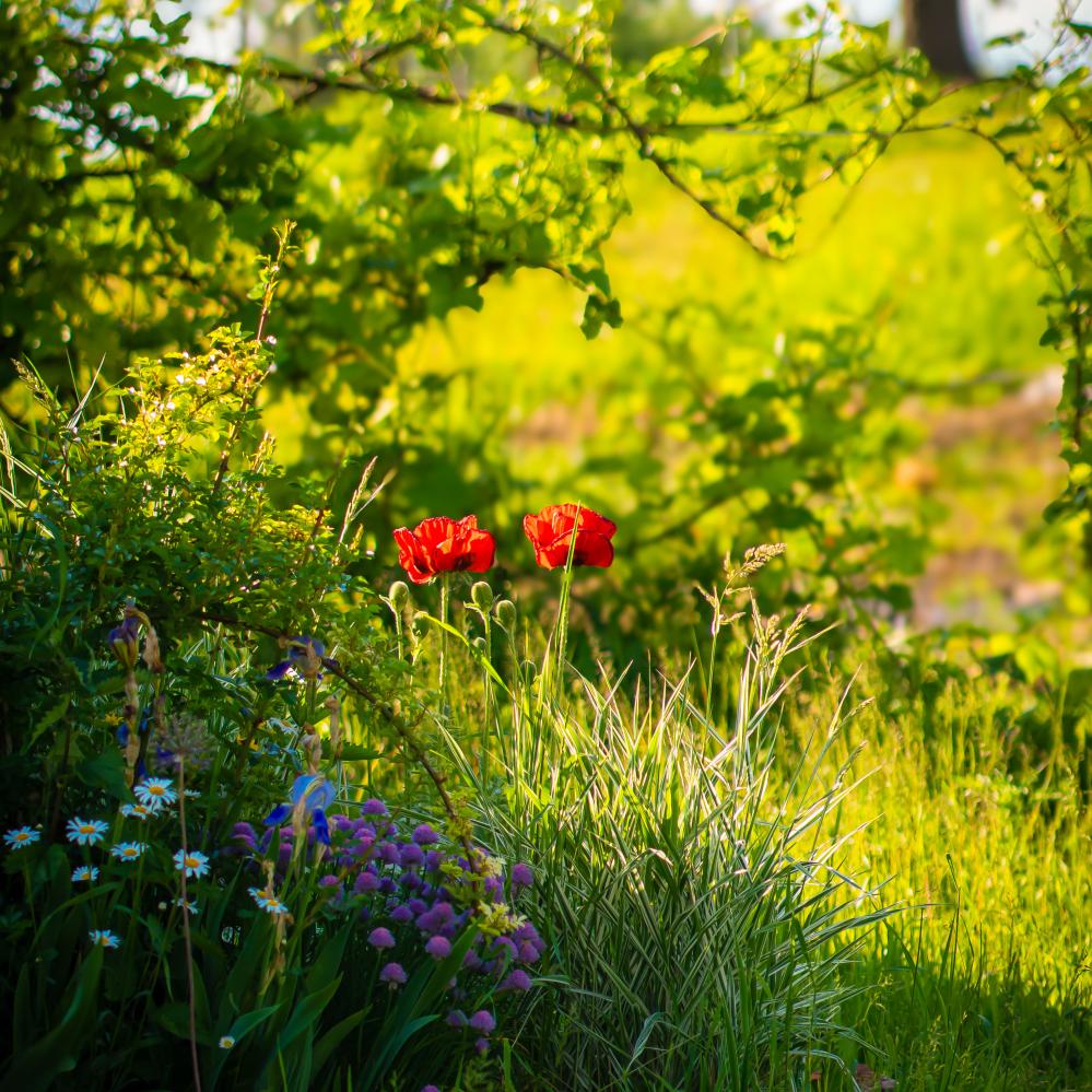 Innovative Designs and Craftsmanship