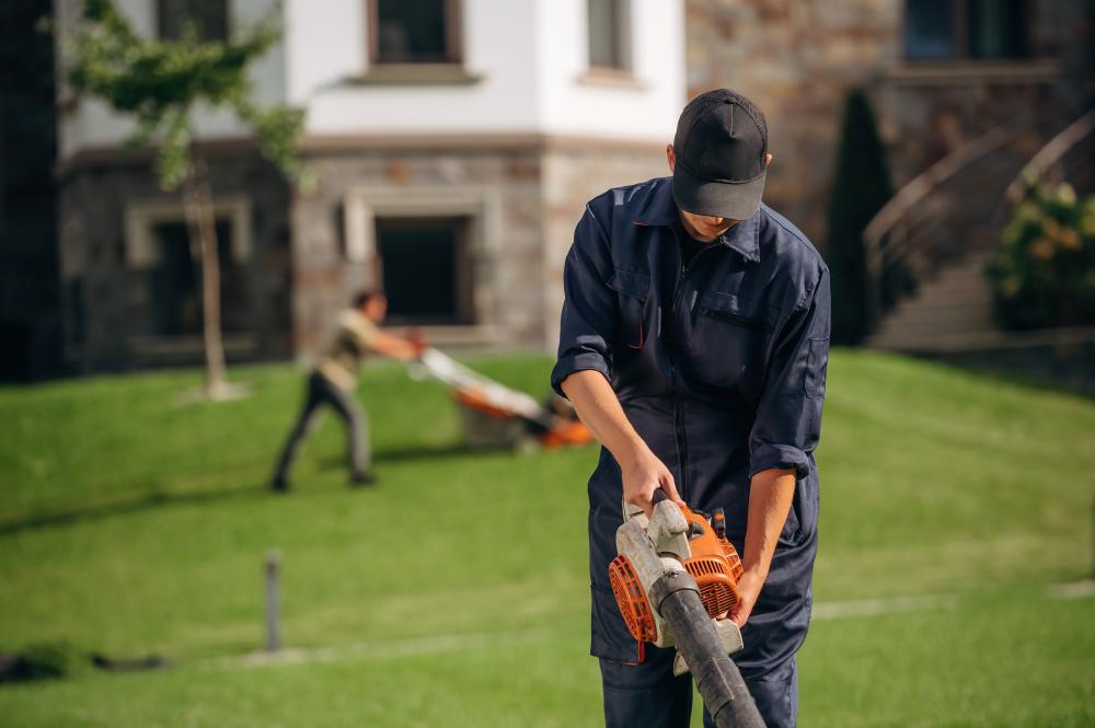 Common Concerns About Tree Service Winter Park FL