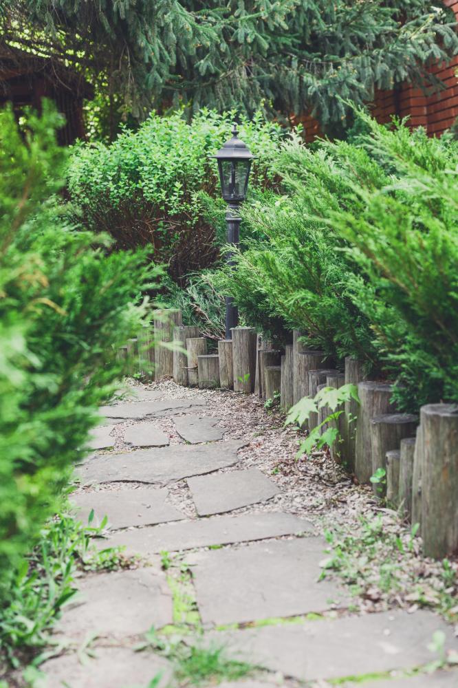 Personal Experiences with Chilliwack Landscaping Company