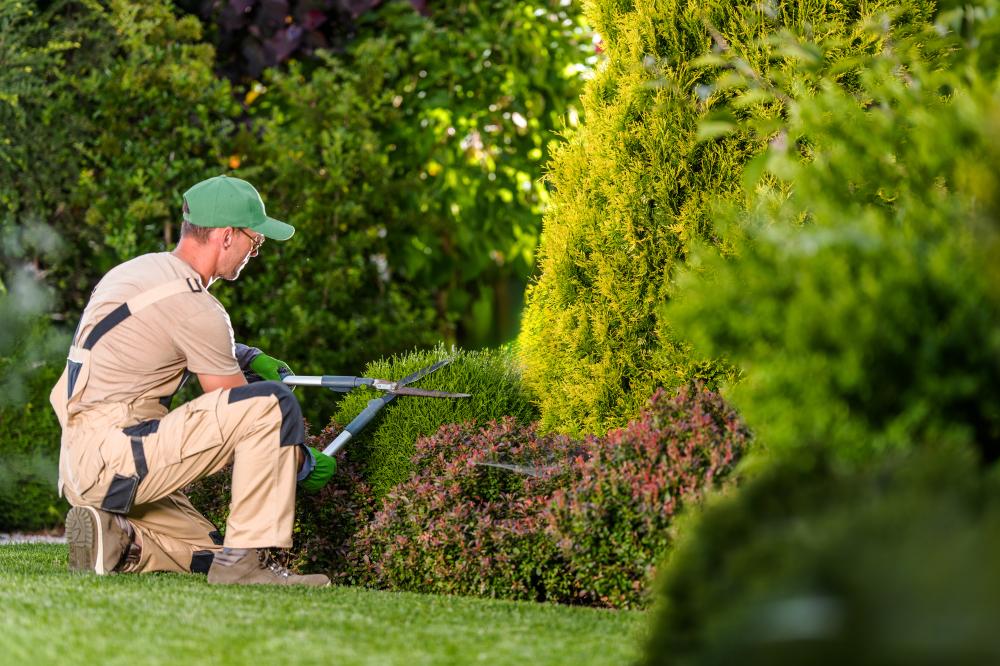 Comprehensive Services Offered