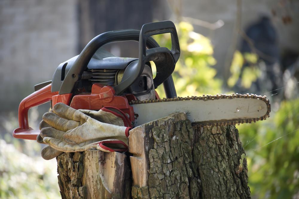 The Role of Tree Clearing Services