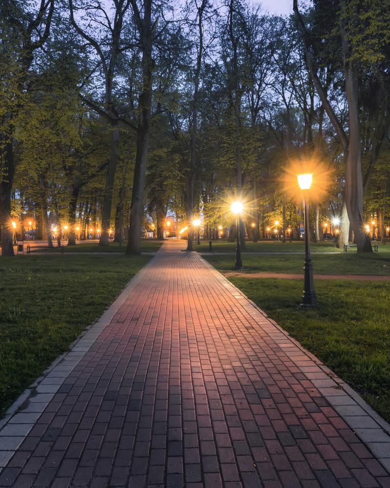 Designing Your Space with Solar Landscape Lighting