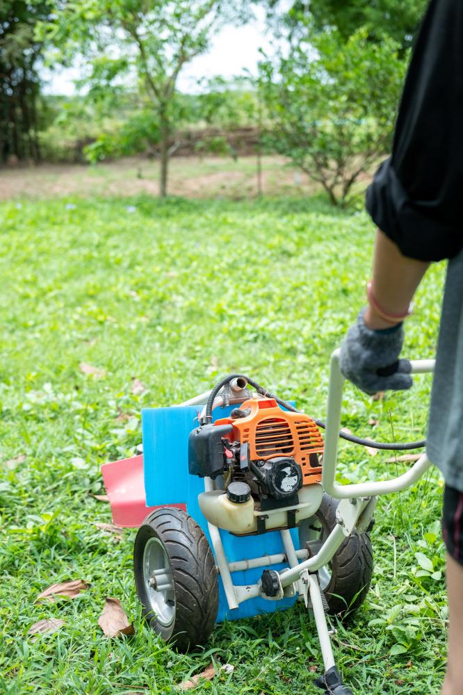 Professional Services Enhancing Lawn Care