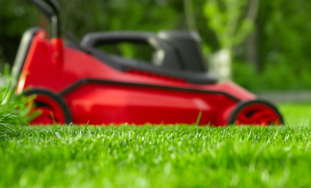 Services Offered by Lawn Contractors in Surrey