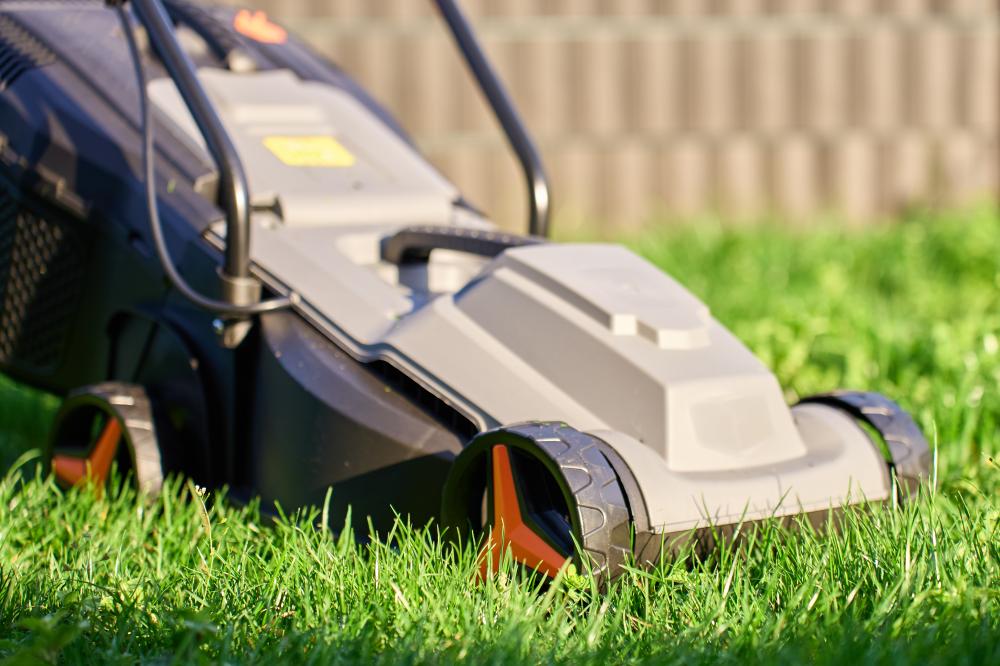Benefits of Professional Lawn Care Services