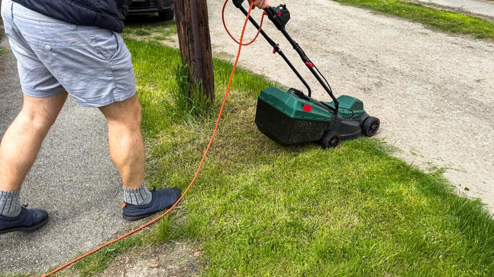 Expert Tips for Lawn Care Success