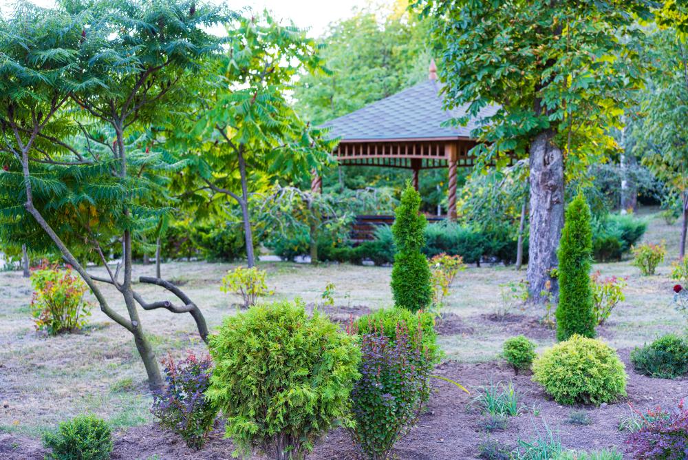 Year-Round Landscape Maintenance
