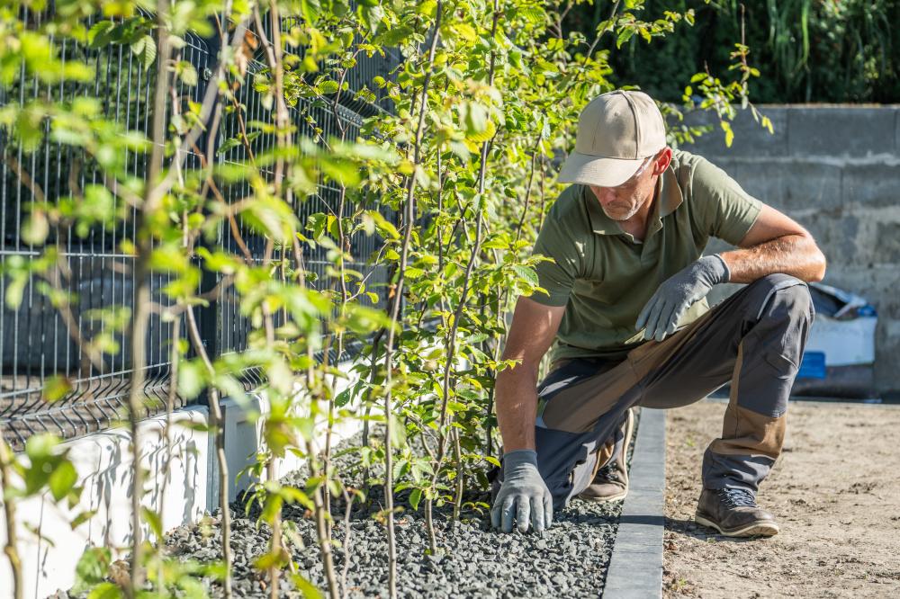 Diverse Landscaping Services
