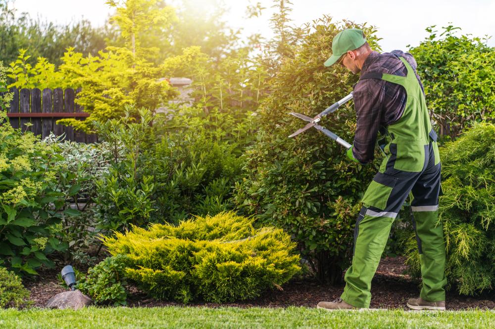Quality Landscape Maintenance Services