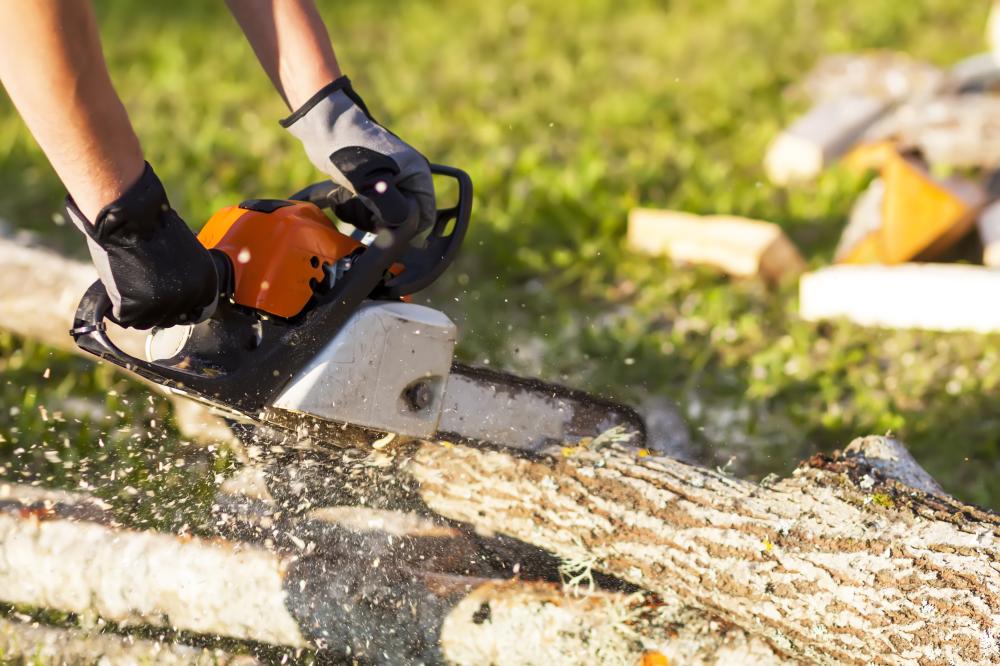 Benefits of Professional Tree Care