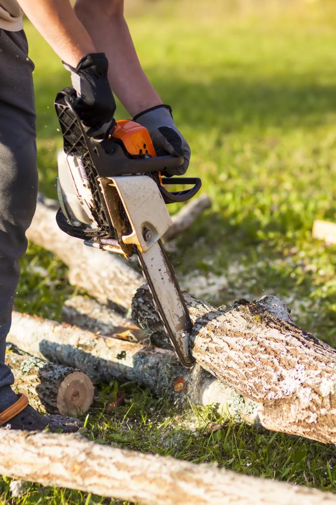 vecteezy hands of a man holding a chainsaw and saw logs 50363293 115 Tree Service Casselberry FL