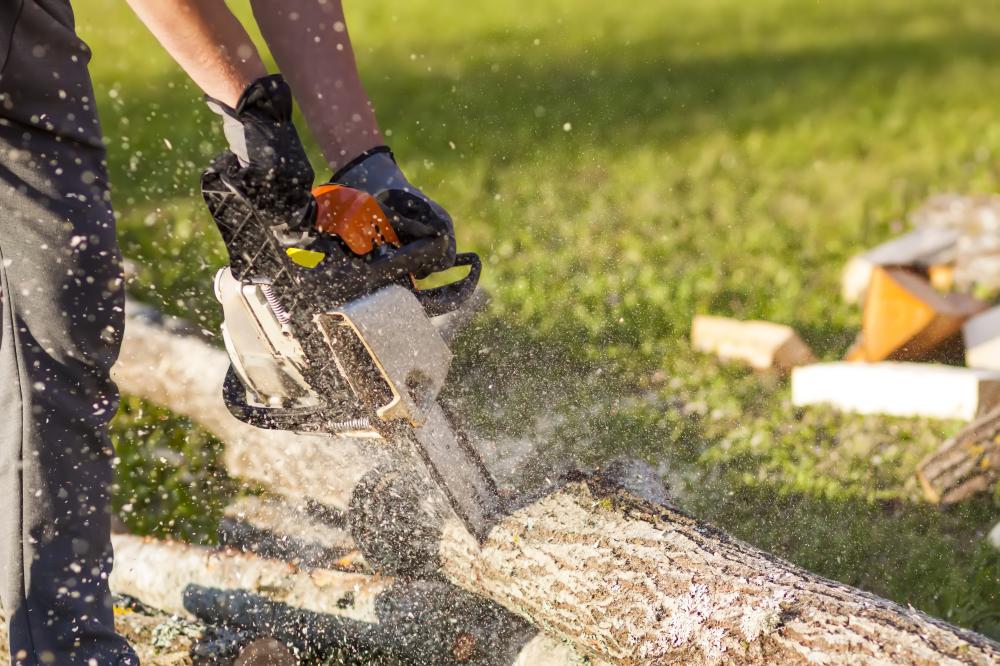 How Can Professional Tree Care Enhance Your Yard?