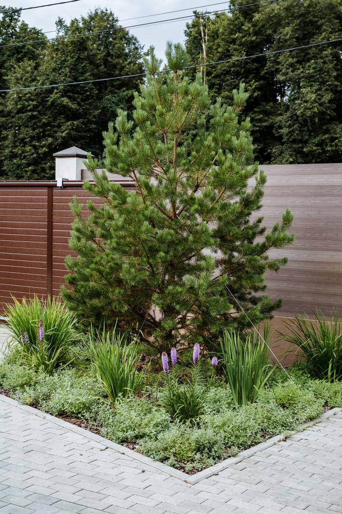 Mastering All Seasons: Comprehensive Maintenance and Services