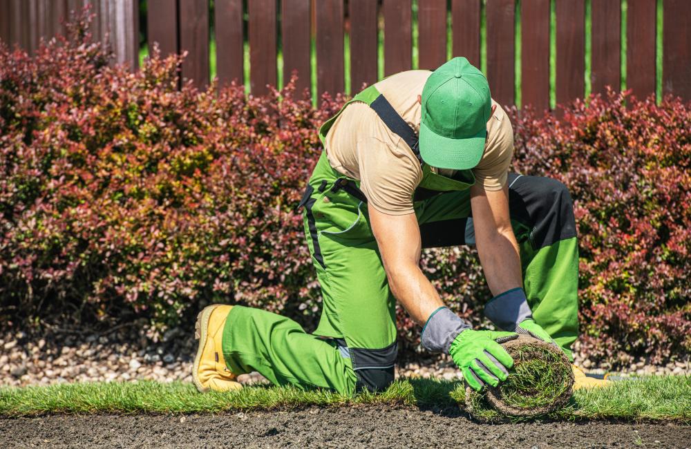 Strategic SEO Implementation for Landscaping Success