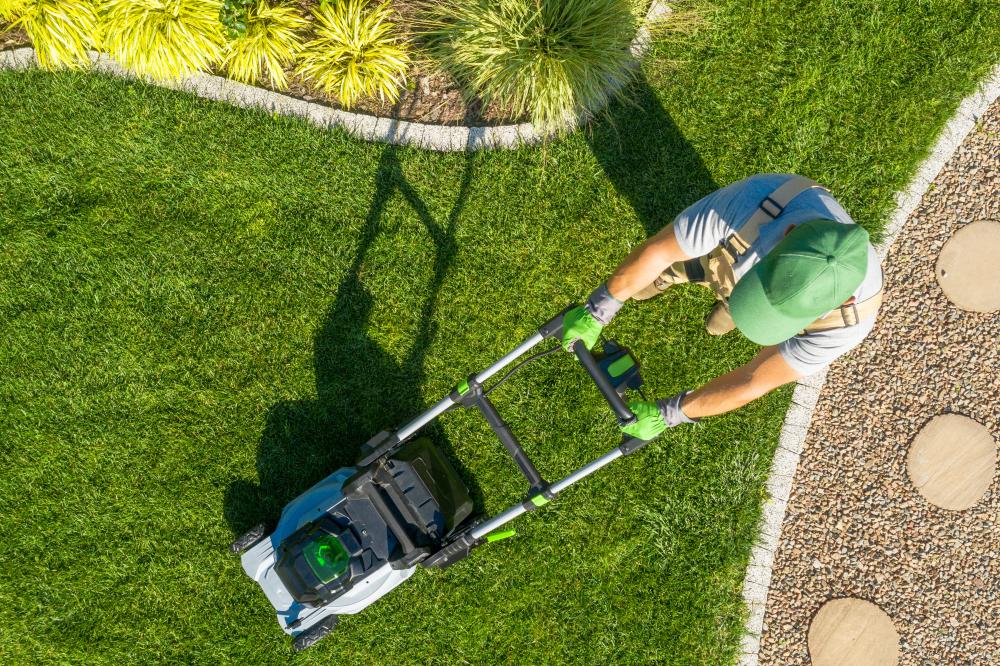 Professional Perspectives from Hughes Landscaping