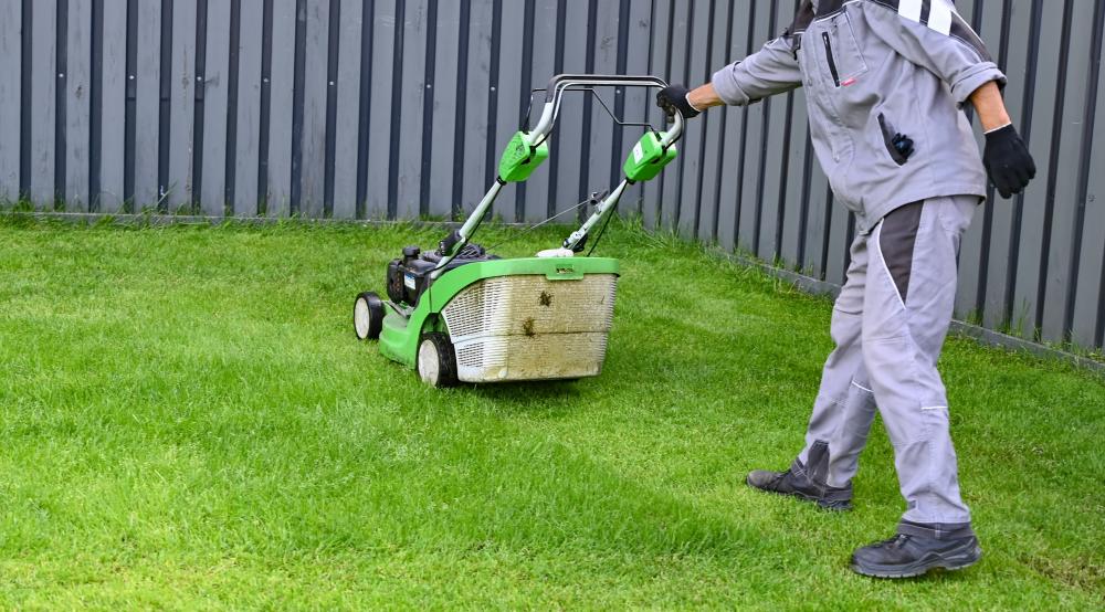 The Importance of Regular Lawn Care in Abbotsford