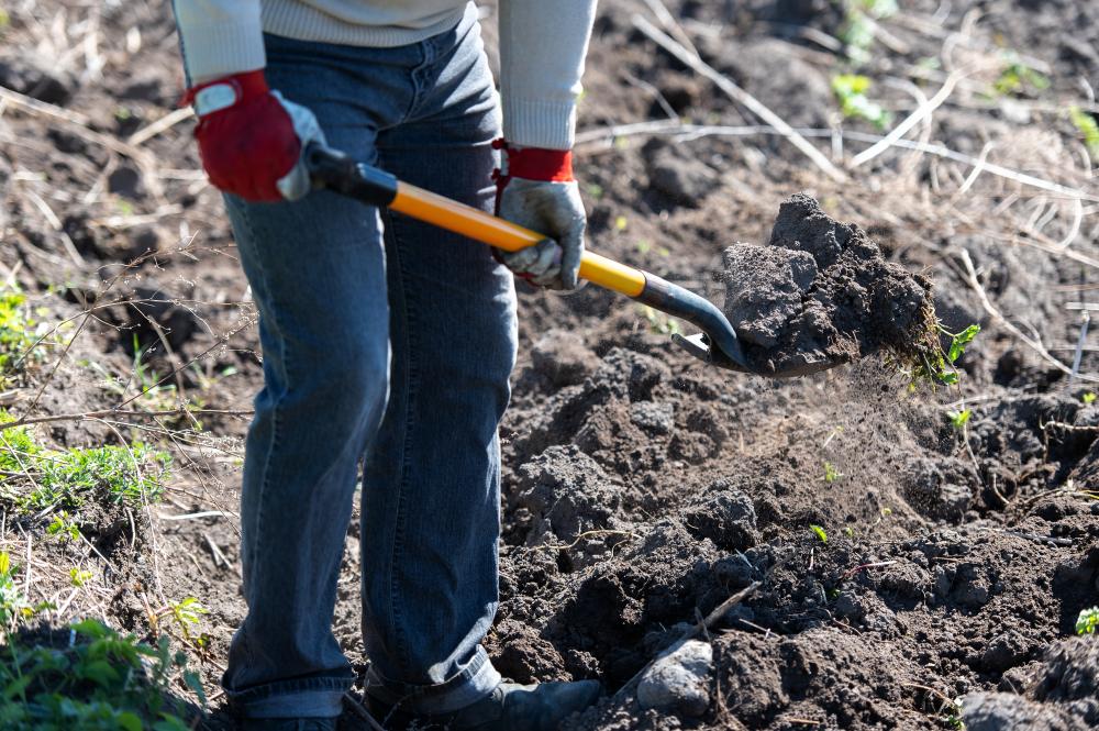 Preparing Land for Future Use