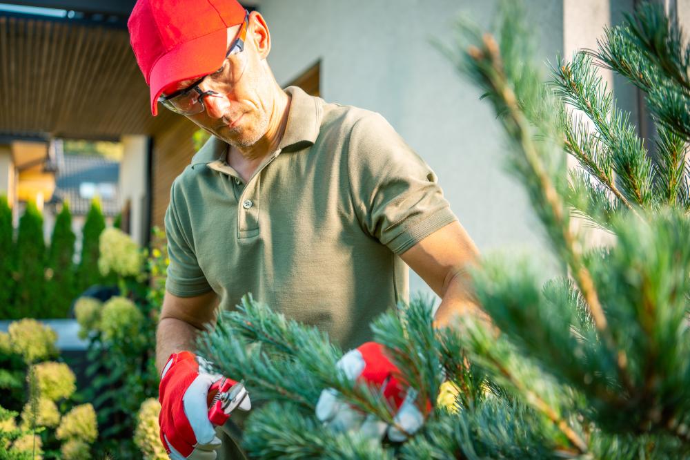 What Qualifies as a Tree Service Winter Springs FL Emergency?