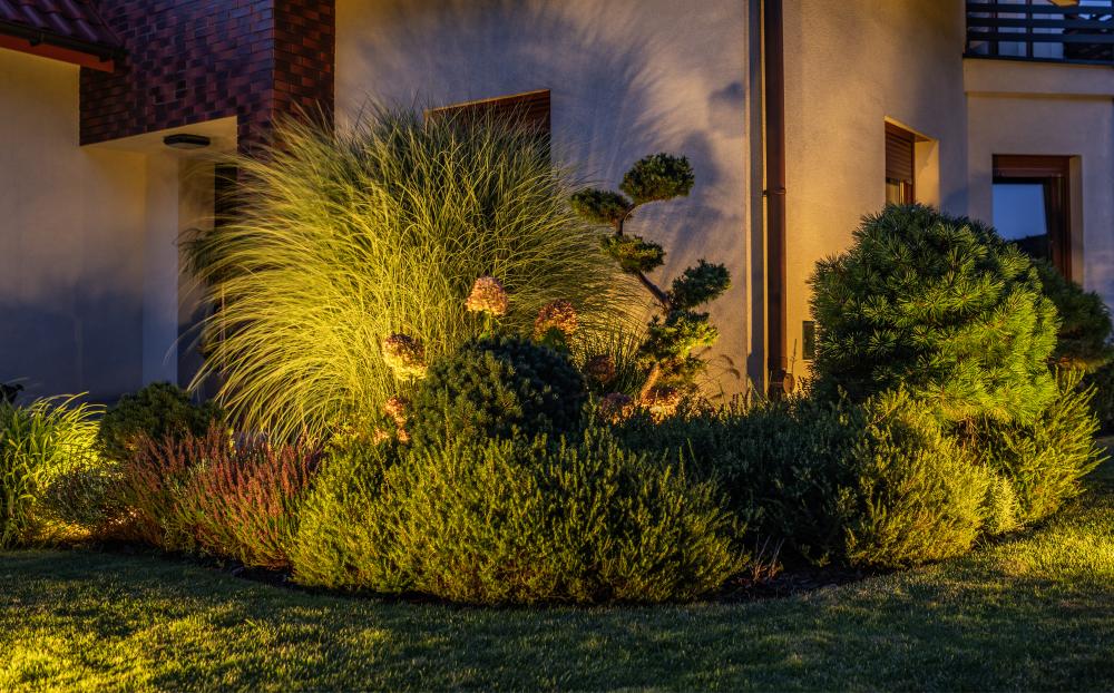 Choosing the Right LED Landscape Lighting