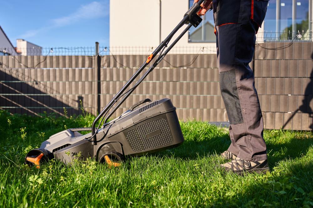 Unique Landscaping Options for Abbotsford Homeowners