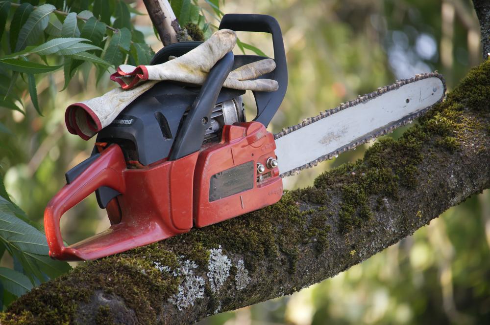What Key Tree Services are Available?