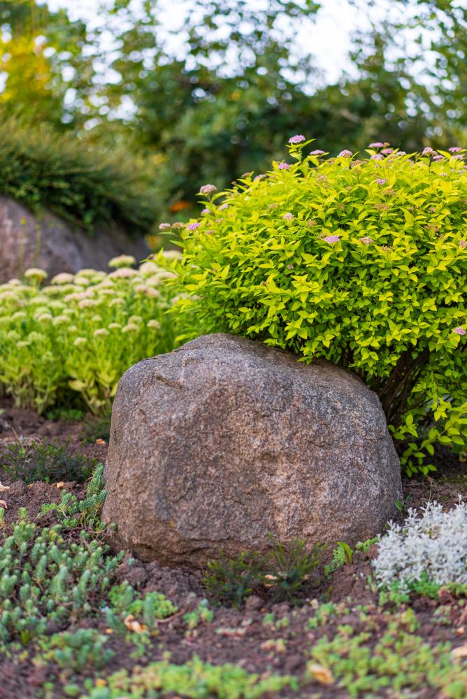 Community-Focused Landscape Designs