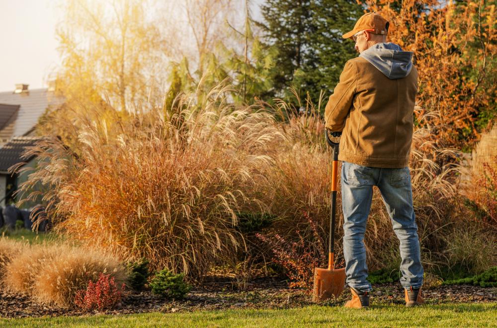 Versatile Services for Every Landscaping Need