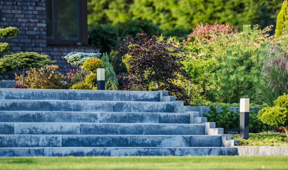 Expert Landscape Maintenance for Year-Round Beauty