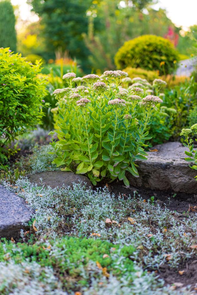 Comprehensive Services for Every Need