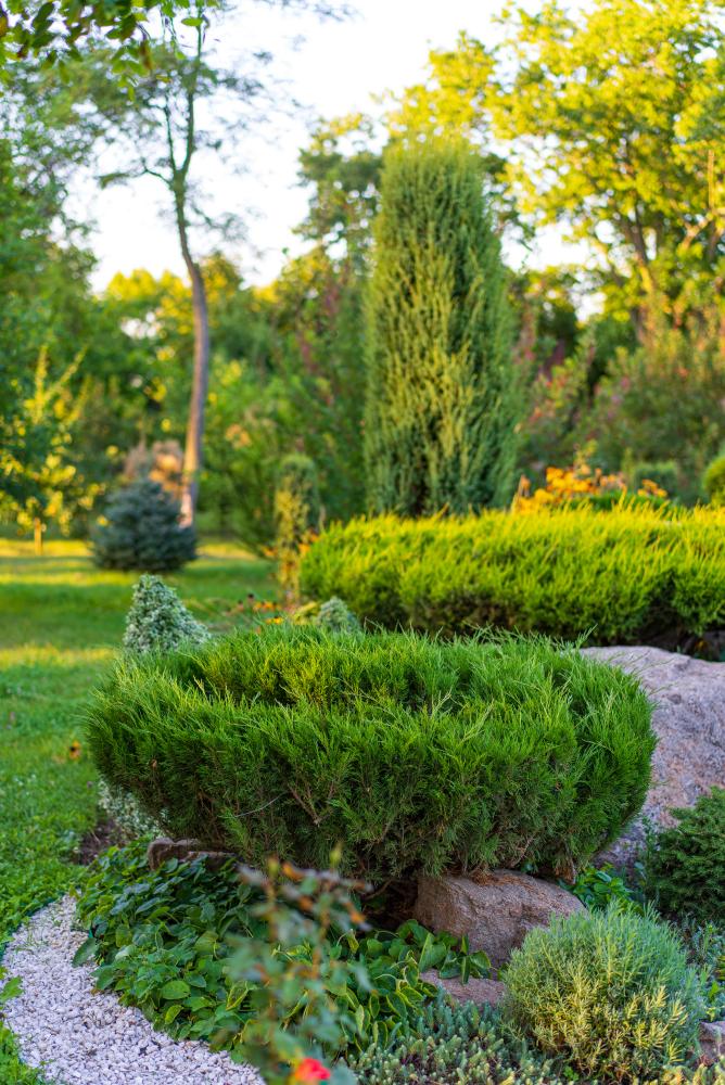 Maintaining Your Sanctuary