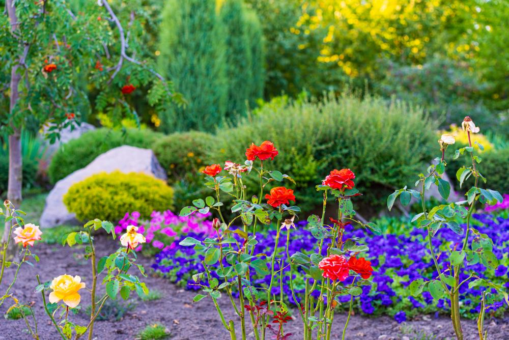 Comprehensive Landscaping Services