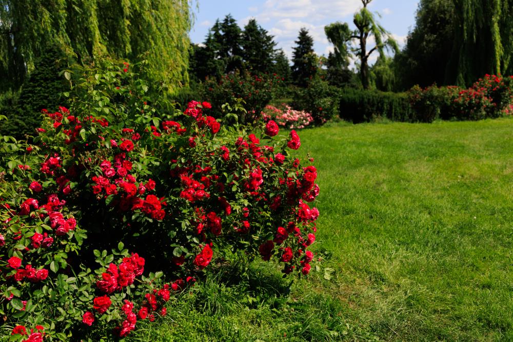 Why Choose Professional Landscaping?