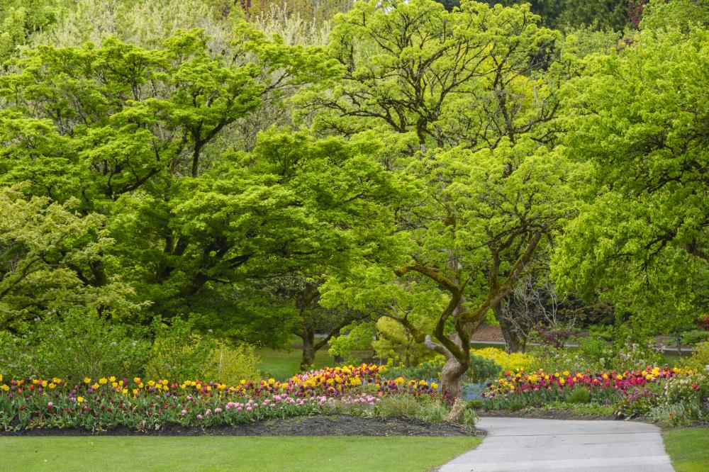 Diverse Services for Every Landscaping Need