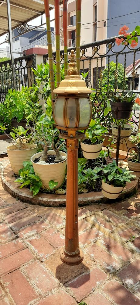 Innovative Approaches to Landscape Lighting