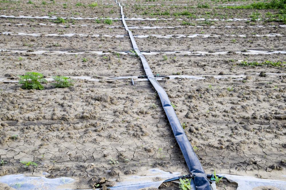Why Drip Irrigation?